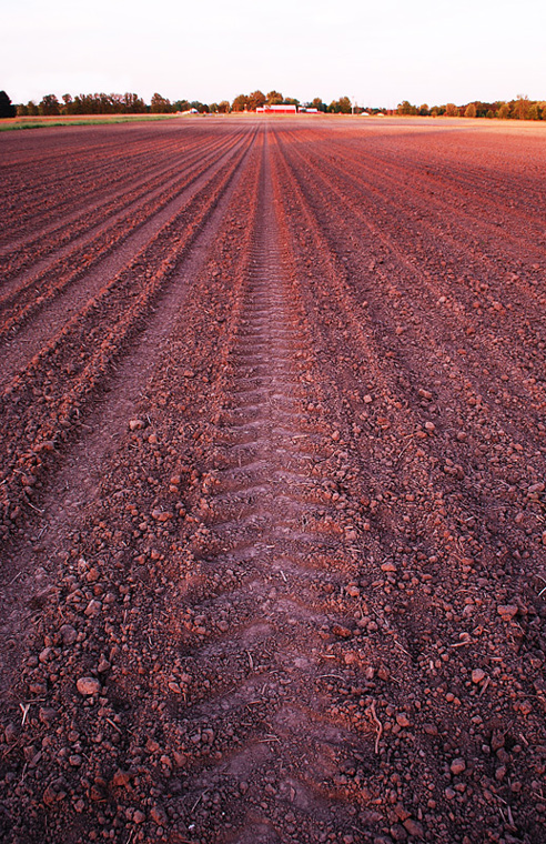 Barren