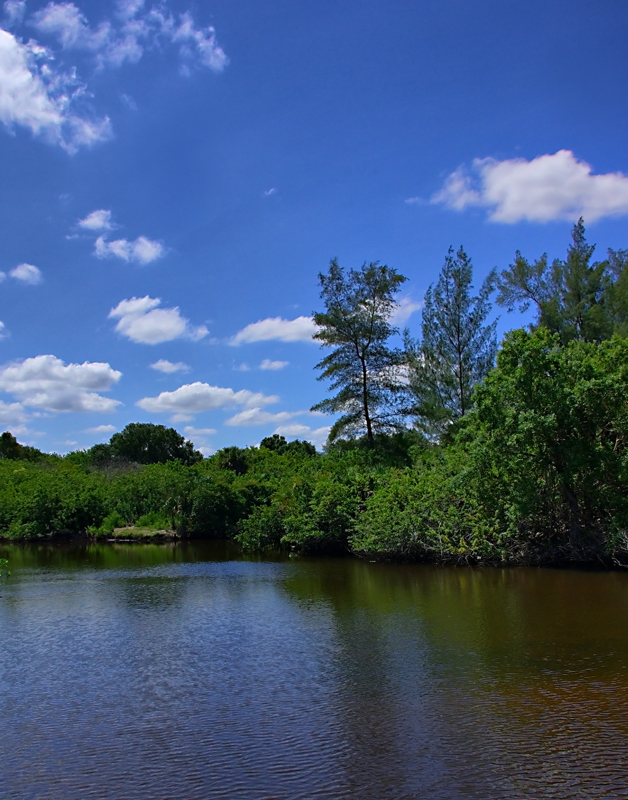 The Sky Above, Water Below