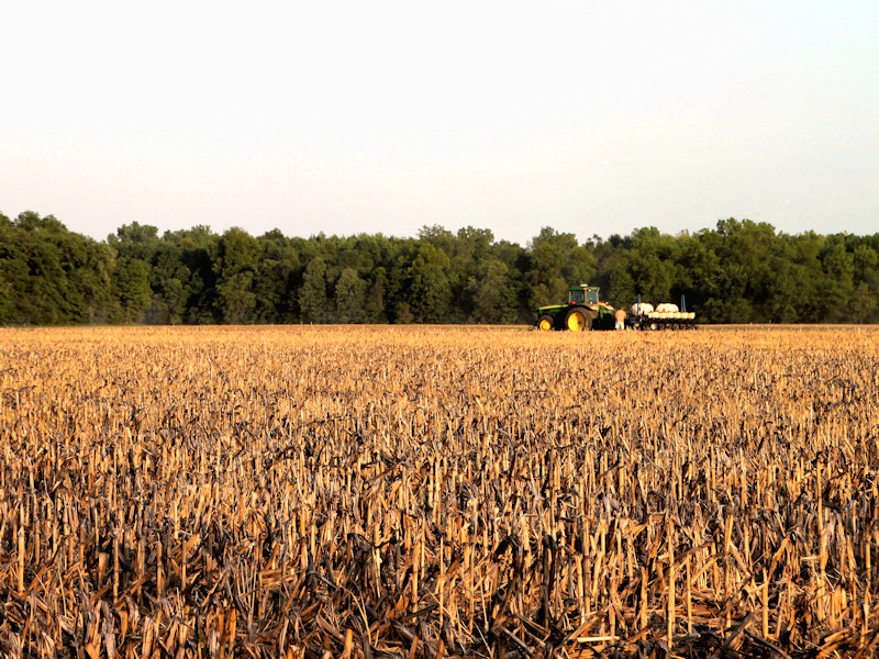 Fieldwork at Sundown