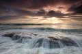 Ocean gold