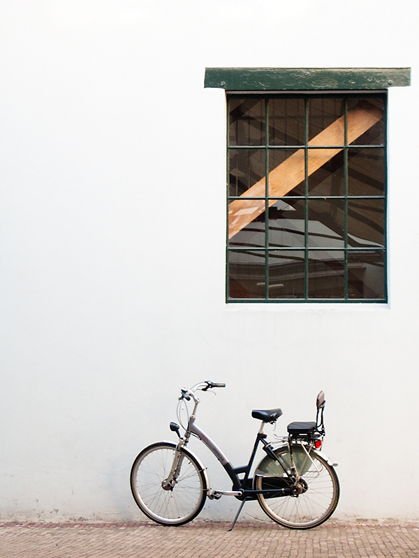 Window