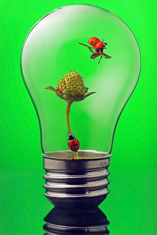 eco awareness