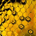 Honeycomb