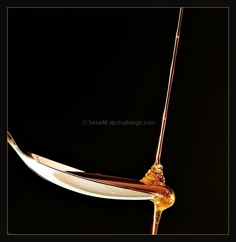 Gift of the bees