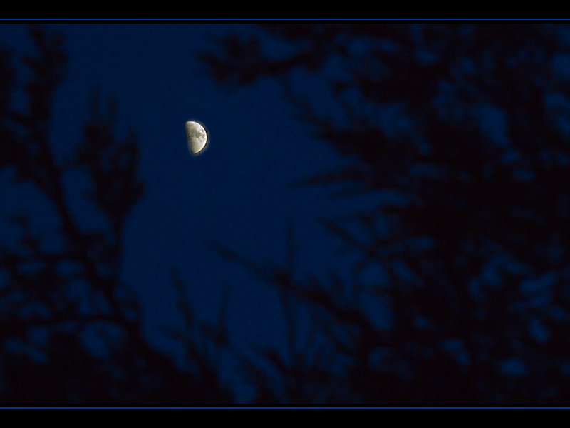 Reaching for the moon