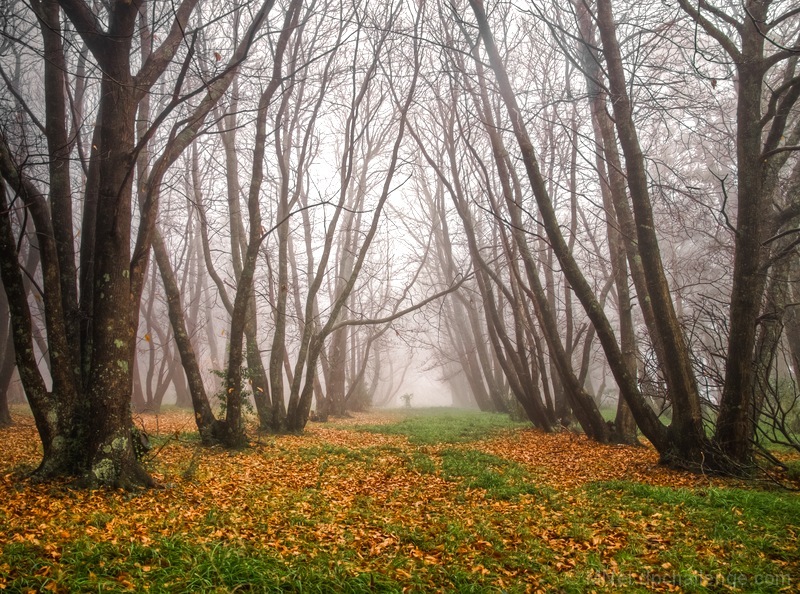 November