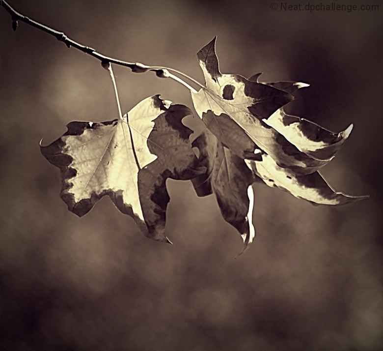 October