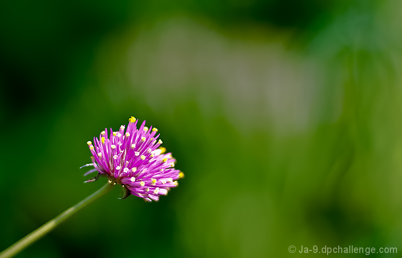 June