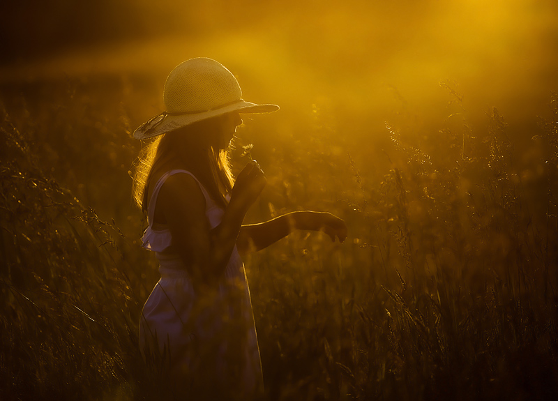 August Evening