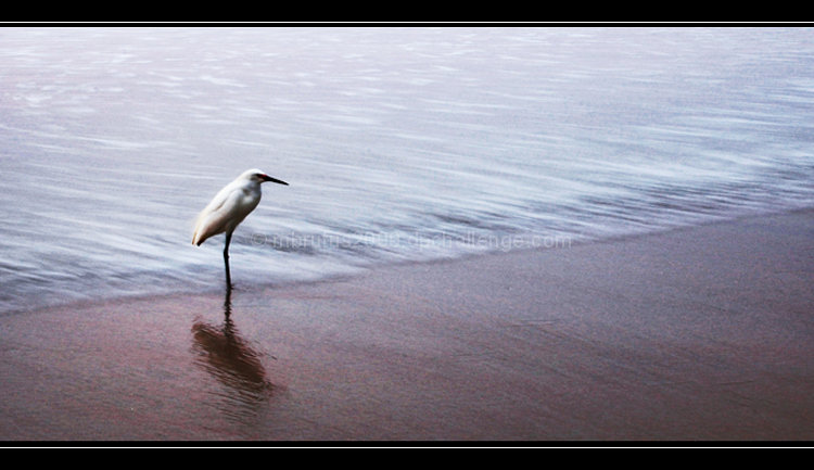 A very lonely August....