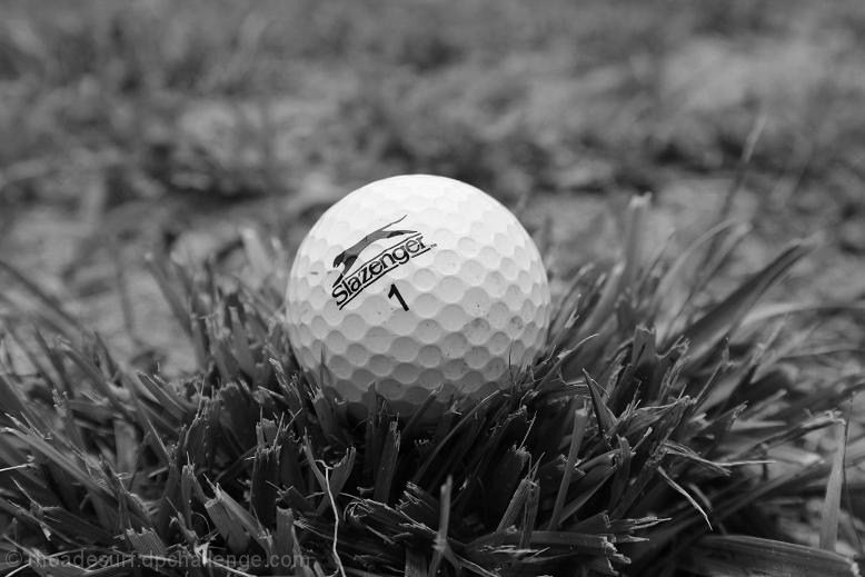Pro-tour JANUARY