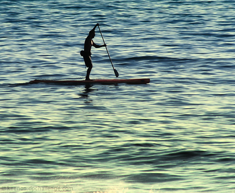 Paddle Surfing in JULY