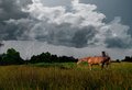 Thunder Rolls ~ Garth Brooks