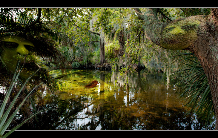 Legend of Wolley Swamp - Charlie Daniels Band