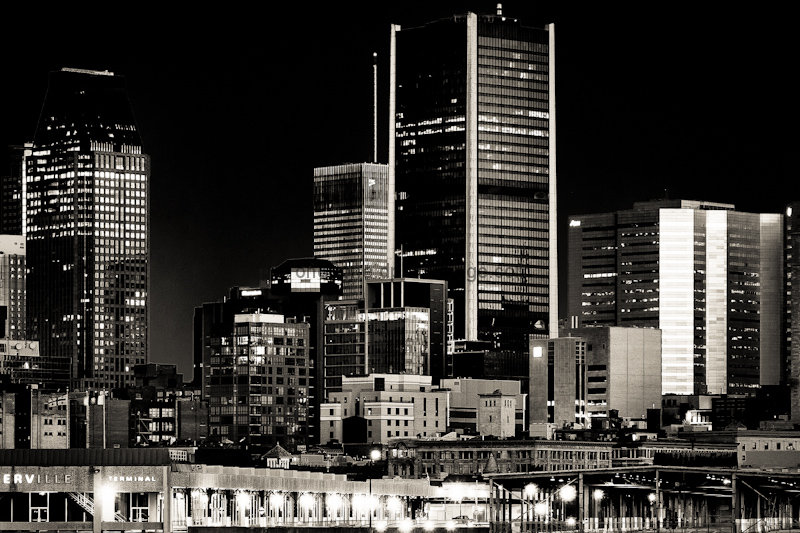 I Love the Nightlife