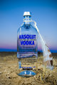 Absolut Native