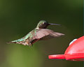 Hummer