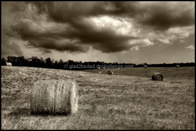 Summer Storm