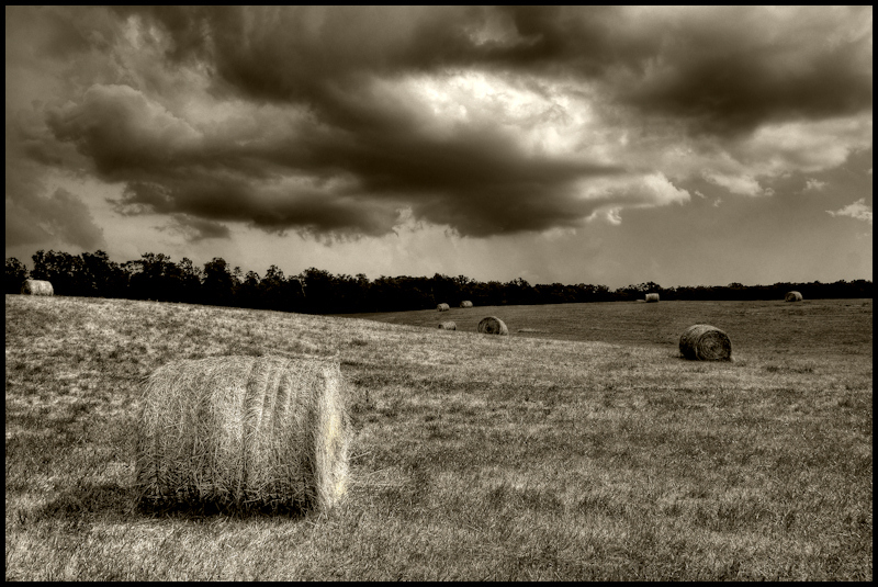 Summer Storm