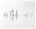 Tree Tops in Flood