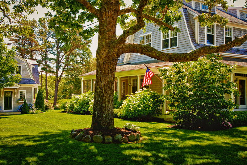 In Search of the American Dream