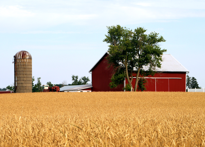 Breadbasket of the World