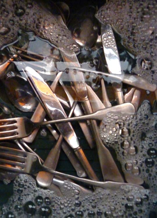 Cutlery Soaking after Picnic