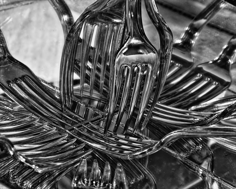 Forks Reflected