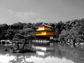 Golden Temple Shines from Japan 