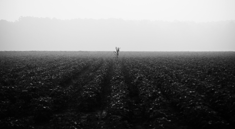 At times, I feel all alone
