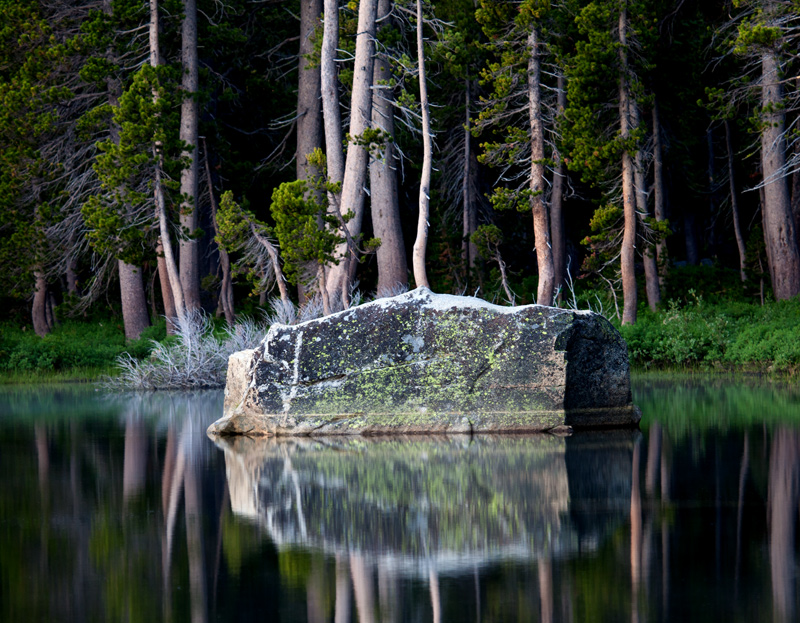 Reflections