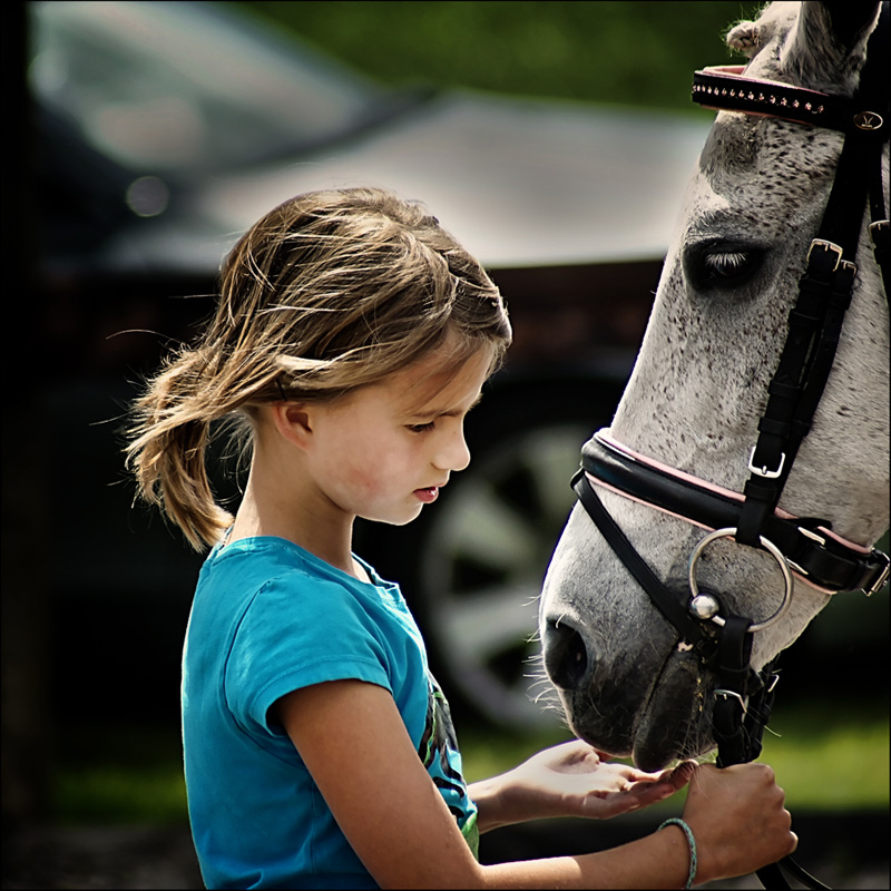 The love for horses...