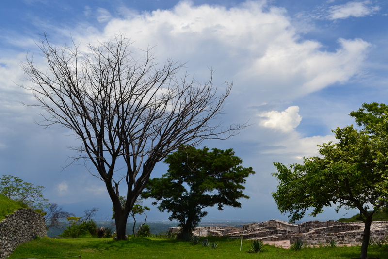 Life and Death:  Past and Present