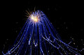 Cousin It or a jellyfish?