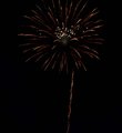 Fireworks Flower