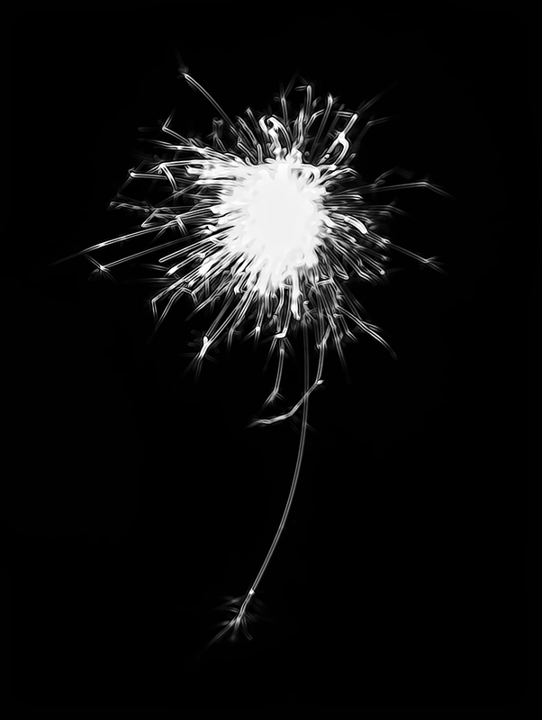 Dandelion Rupture