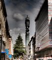 Solitary Tower