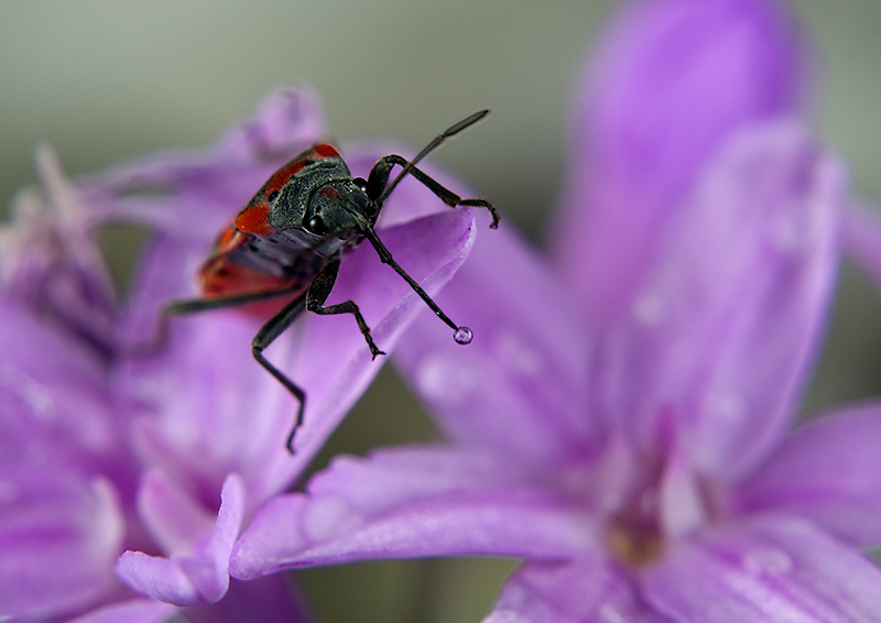 Join Me For A Drink?