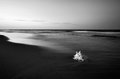 ..Surf....Shell....Sailboat