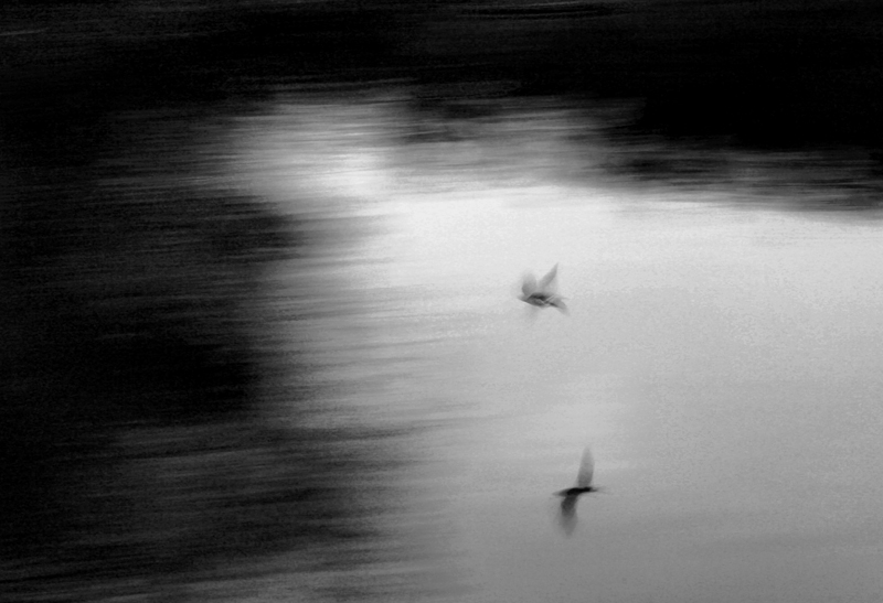 Flight of fancy