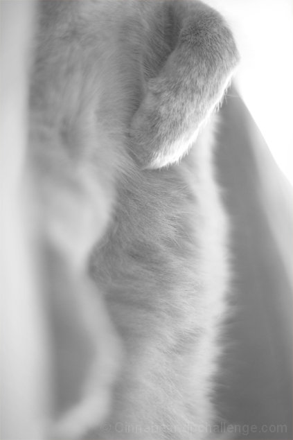 Her Grace
