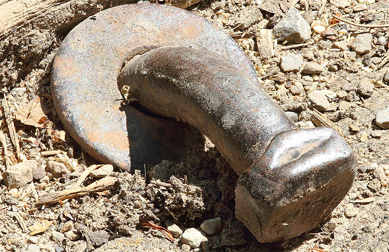 Bent Nail in Focus