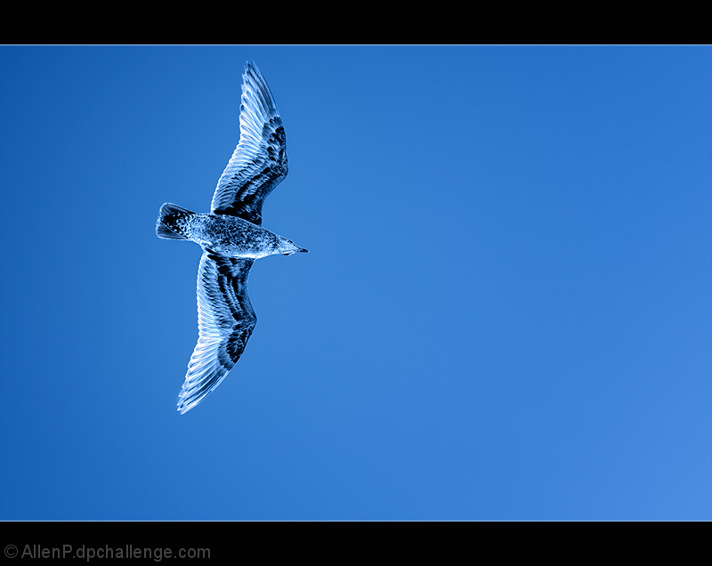In Flight