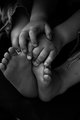 toes