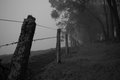 Fence line into the fog