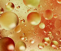 Cooking Oil - Close-up Photography