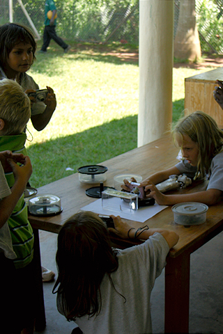 Teaching kids at school how to use their parrents or their own camera at different scènes 