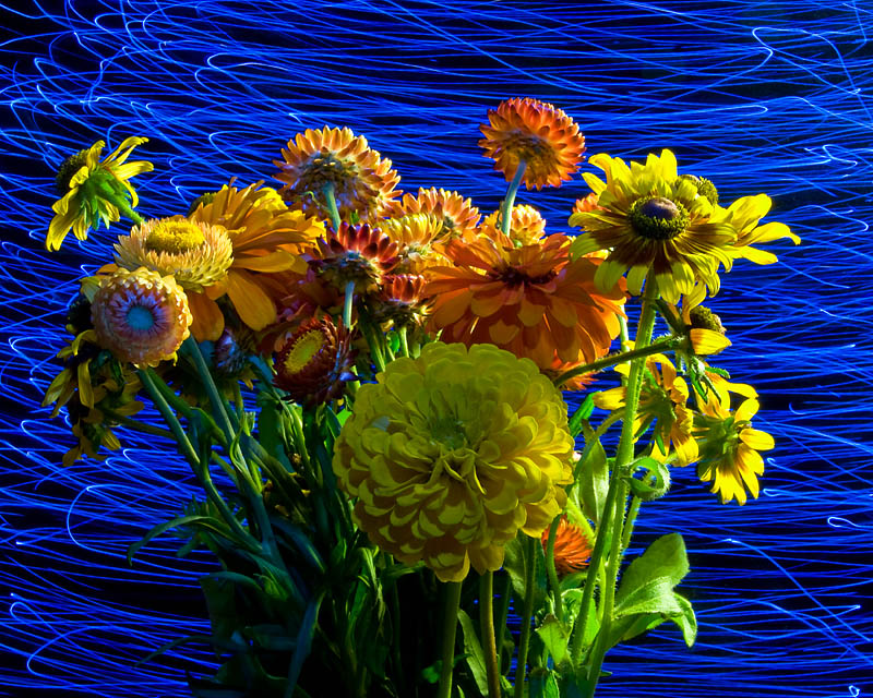 Summer Bouquet on a Moonlit Night