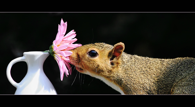 Don't forget to stop and smell the flowers