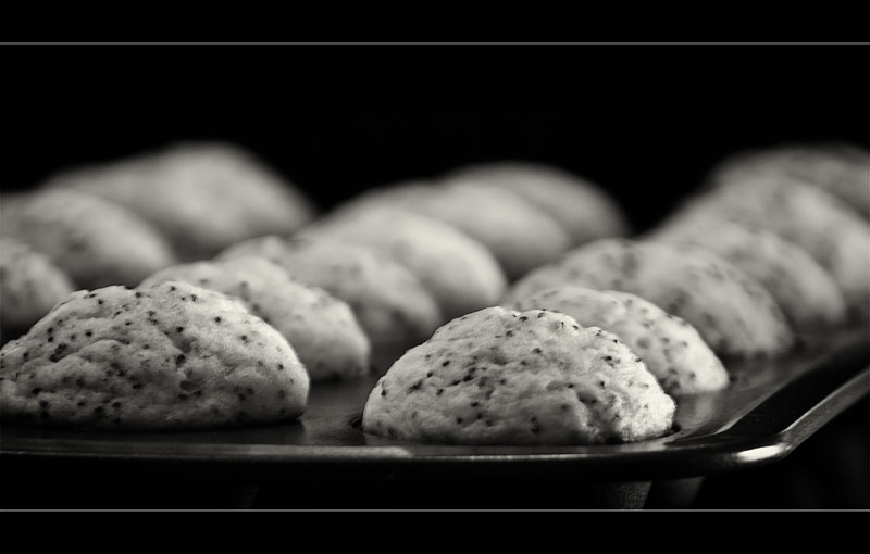 Poppy Seed Muffins